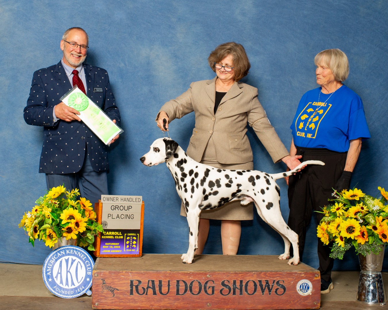 Stagecoach Dalmatians- planned litter