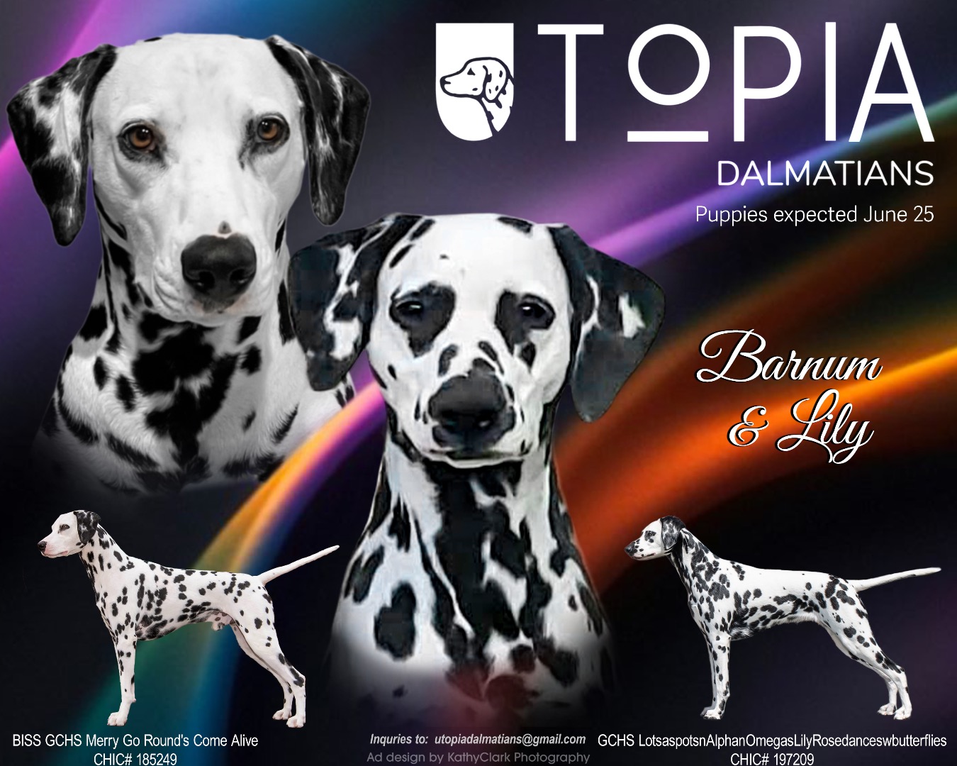 Utopia’s classical Music litter