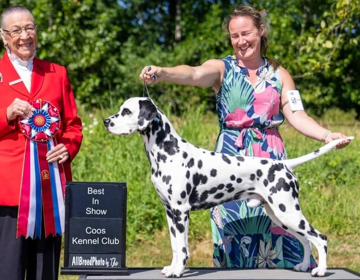 Luca_BIS_July 2024-Cropped.JPG