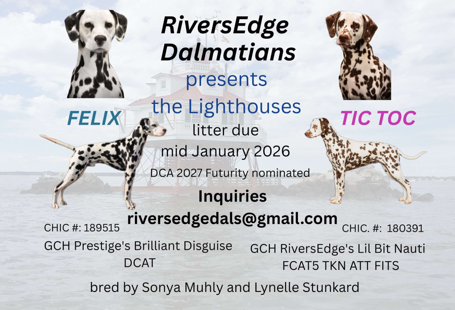 Puppies whelped January 2026