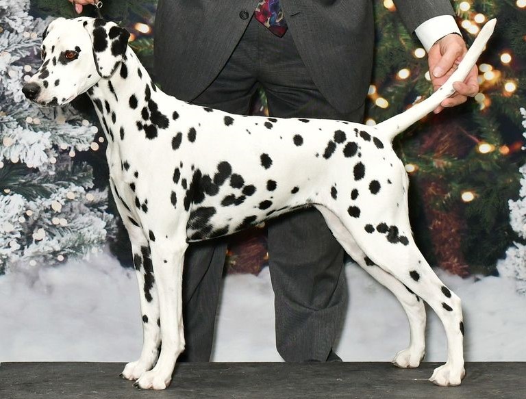 NOWH – 2023- Yuma- cropped.jpg