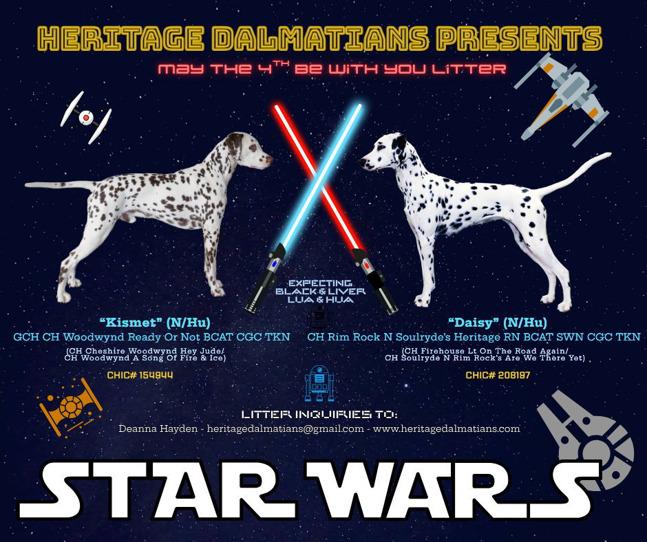 Liver & black spotted LUA puppies due early May