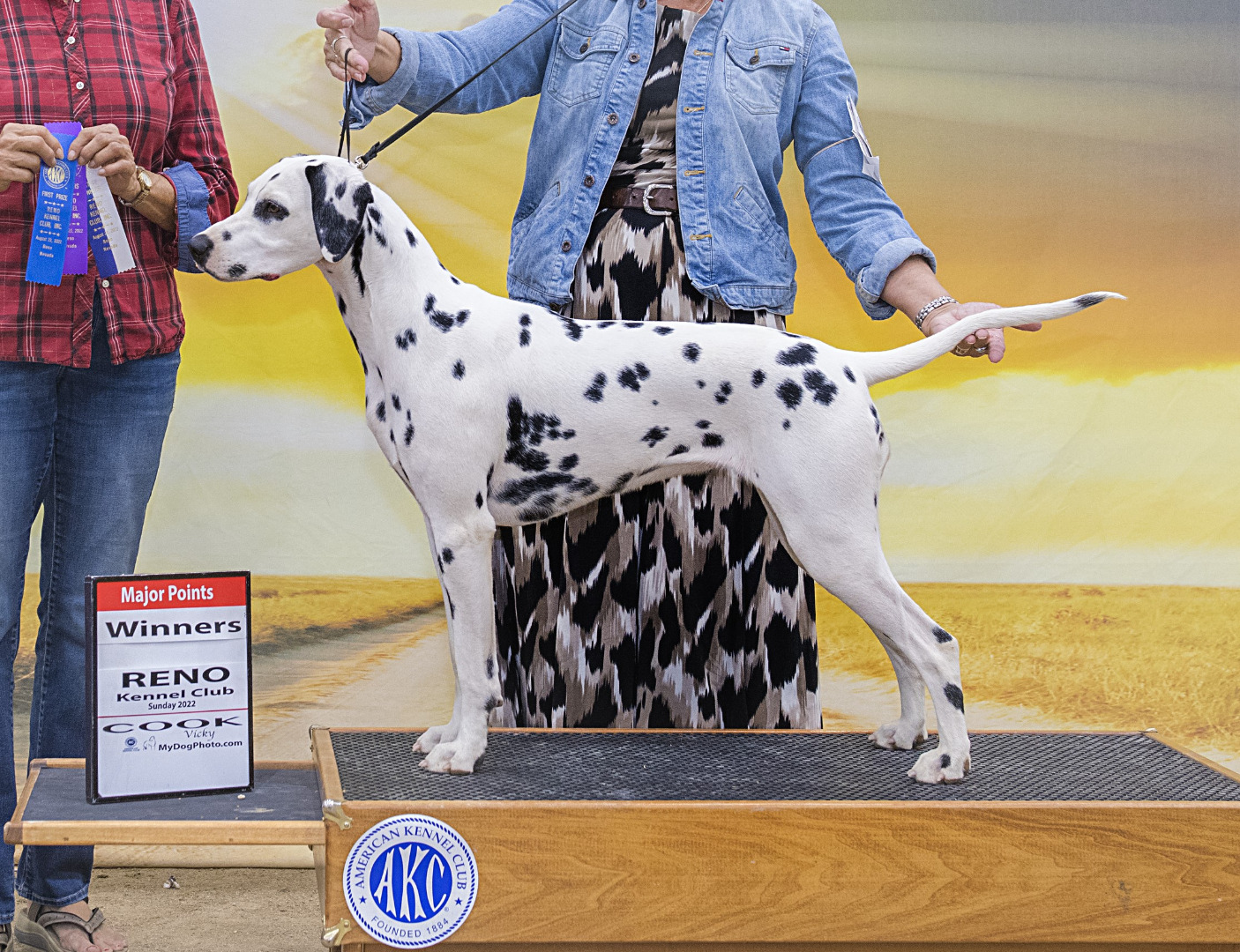 Lyra wins a 5 point major in Reno cropped.jpg