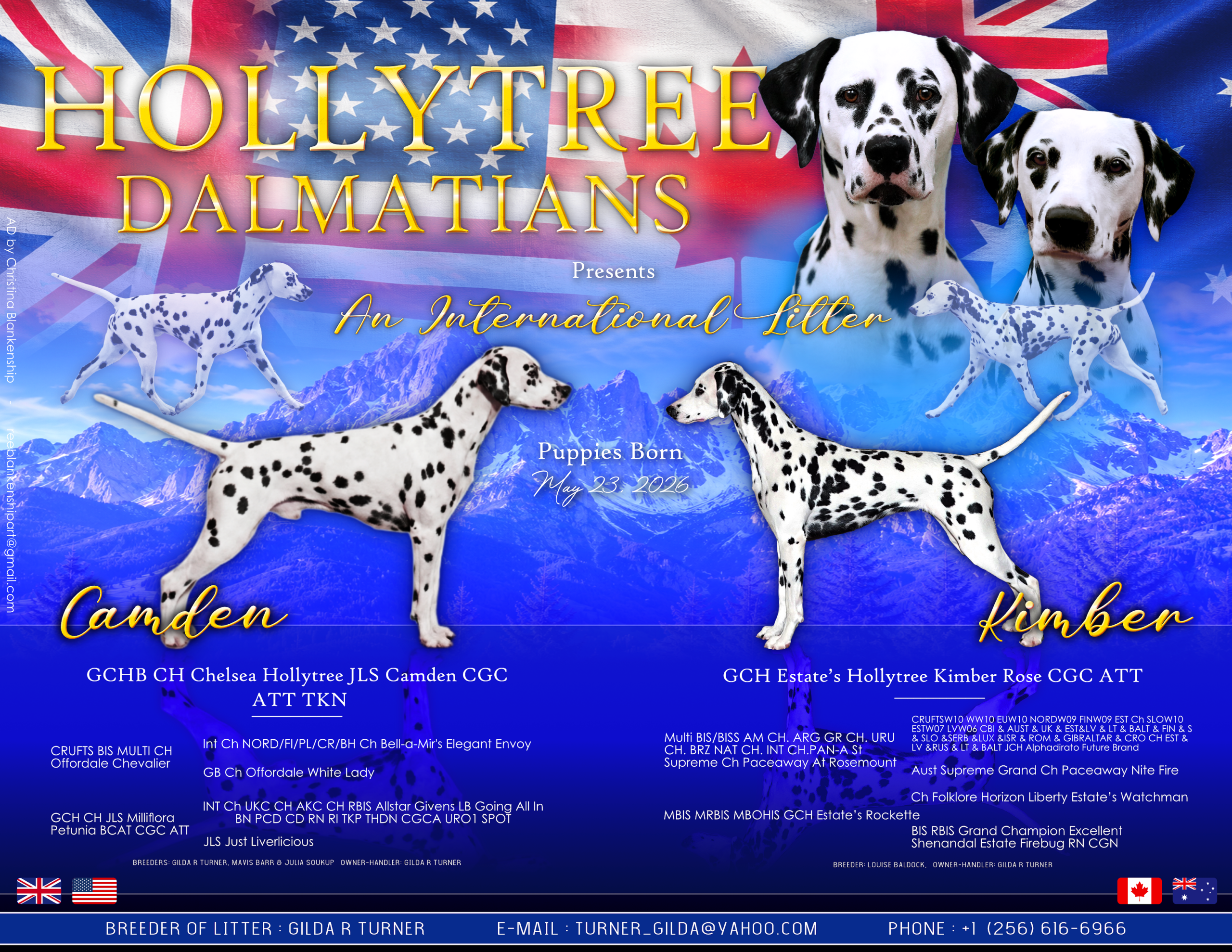 Hollyree Dalmatians, north central Alabama
