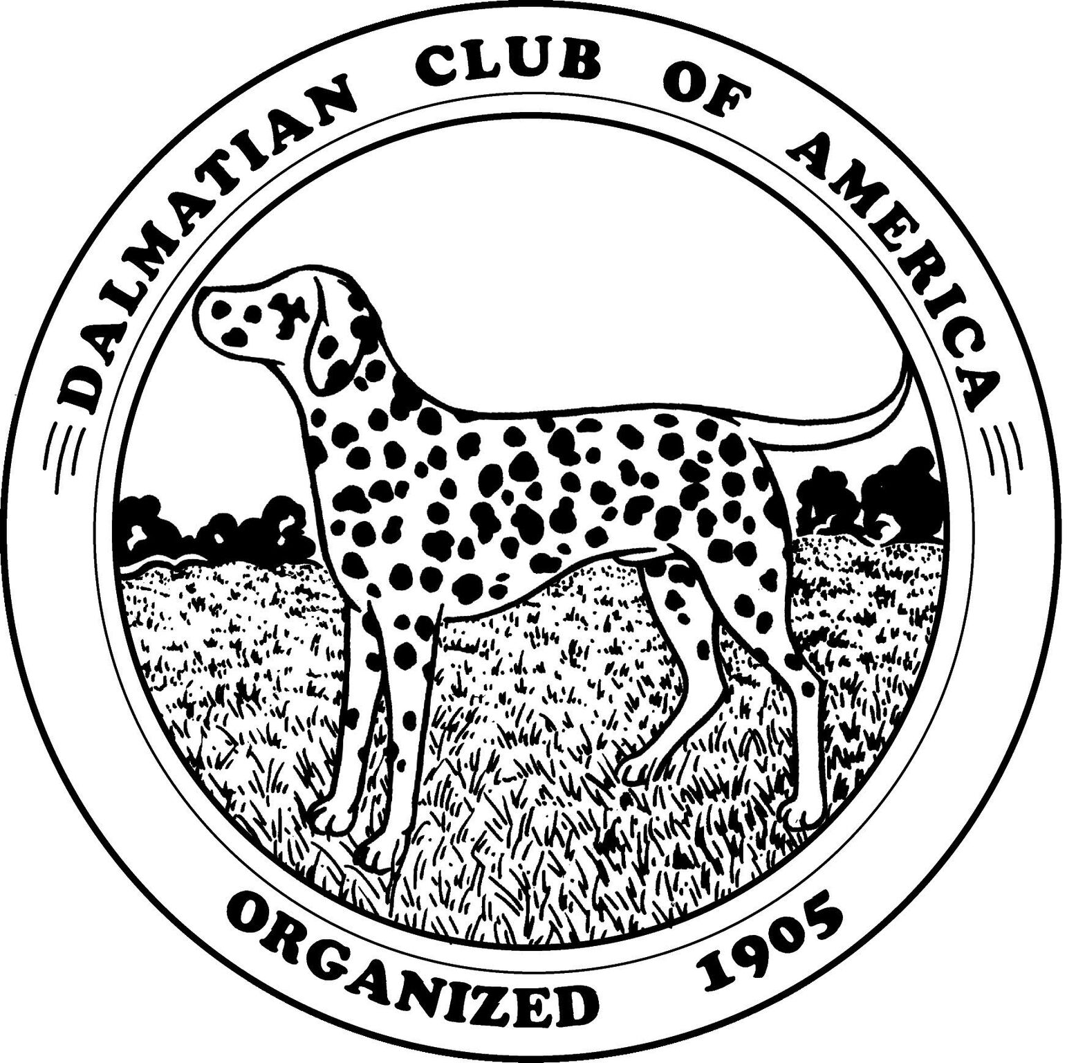 dalmatian rescue wisconsin